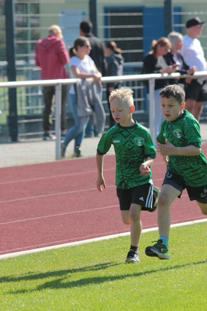 harte Kämpfer vom Team Seepferdchen