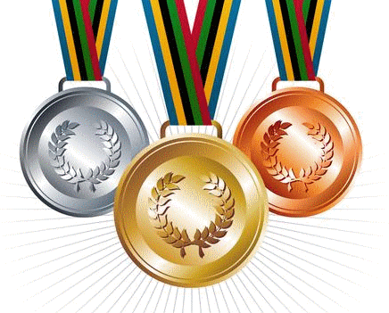 Medalienspiegel 2015